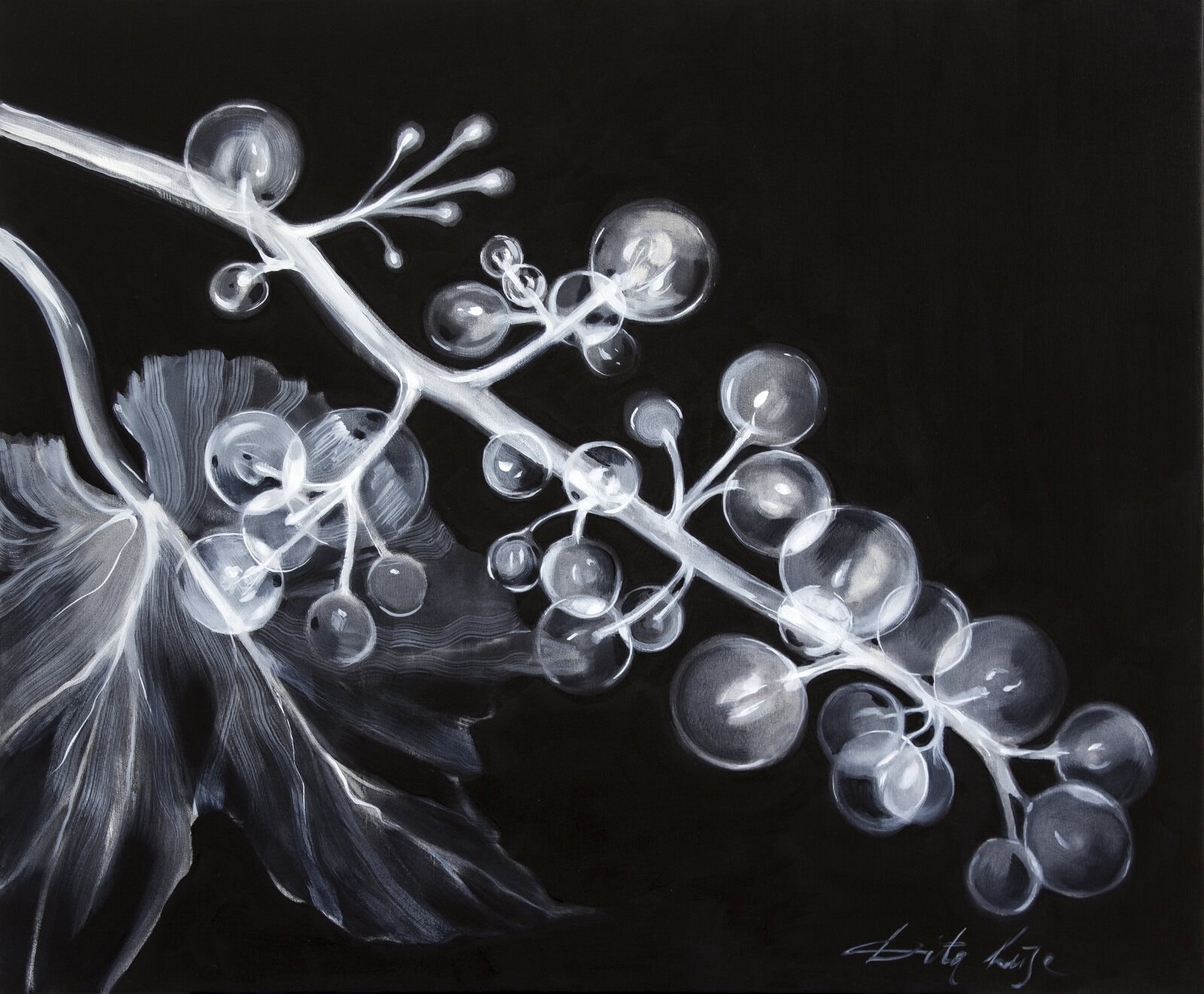 Dita_Lūse Ķekars 75x90